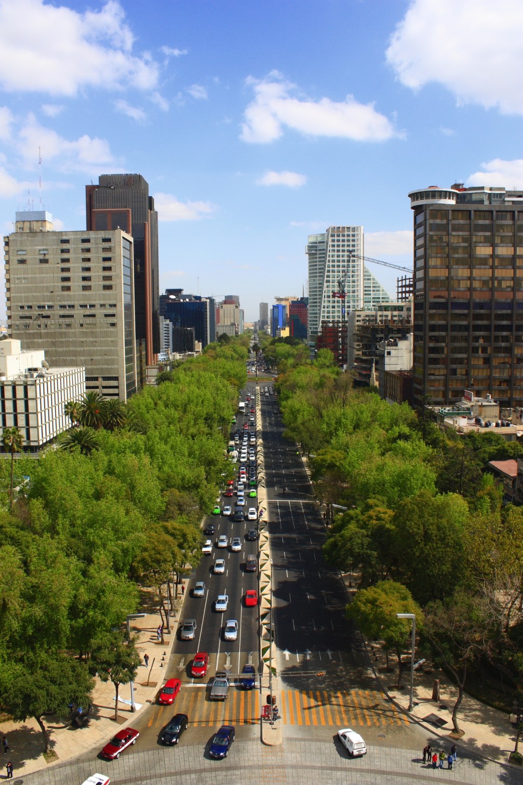 Image of long boulevard bordered with trees leading to tall buildings.