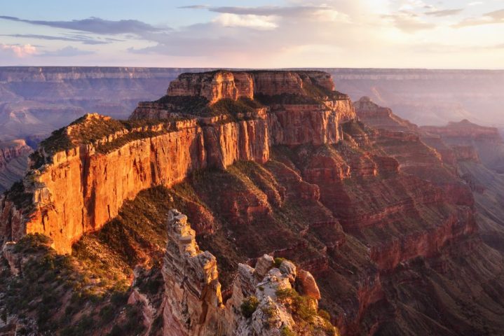 aerial shot of north rim of the grand canyon