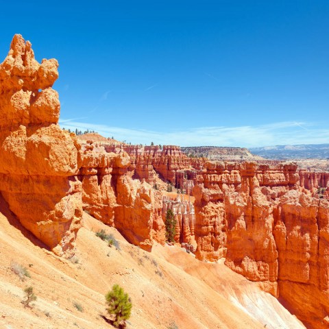 Hoodoos in Bryce Canyon along the Navajo Loop Trail