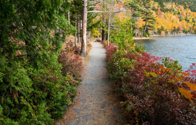 A hiking path curves through fall foliage along the shore of Jordan Pond in Acadia National Park