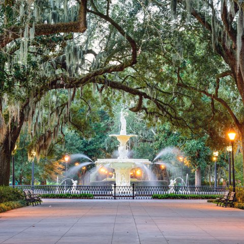 paved walkway leading to a fountain with trees