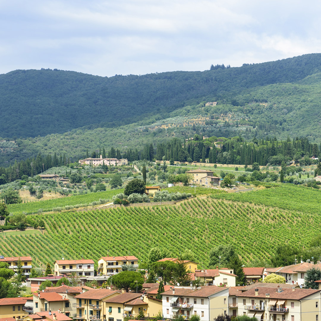 Greve in Chianti Wineries | Moon Travel Guides