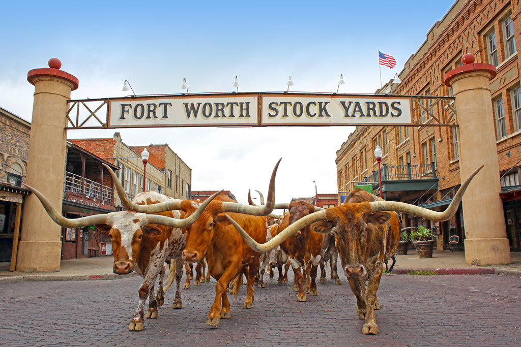 Visit Dallas Fort Worth Where and When to Go Moon Travel Guides