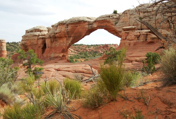 sandstone arch in arches national park