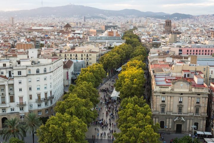 aerial view of a tree-lined street surrounded by a cityscape in Barcelona