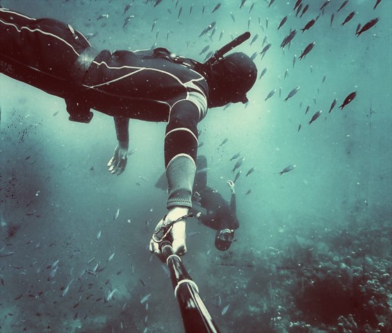 Underwater shot of Freedive Utila diver amongst a school of fish.