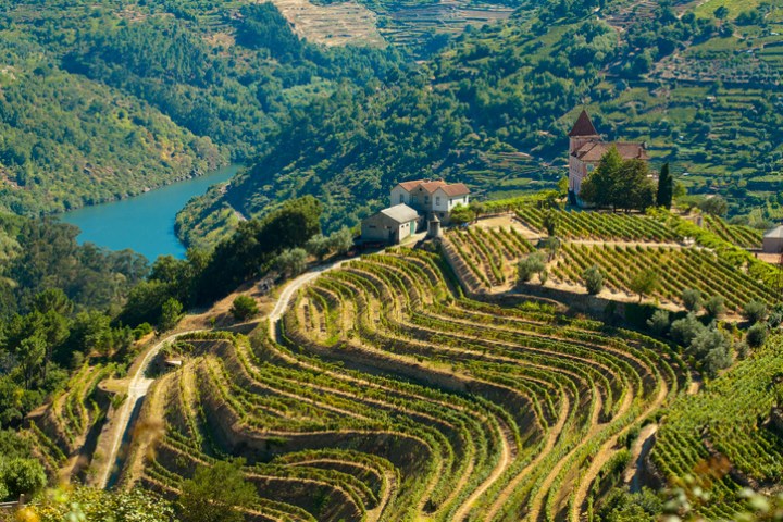 Vineyards along the Douro River