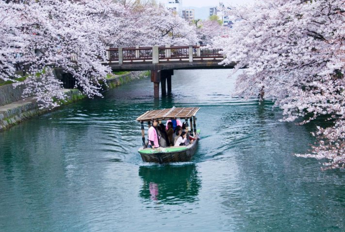 Hanami, or cherry-blossom viewing, is a popular spring experience