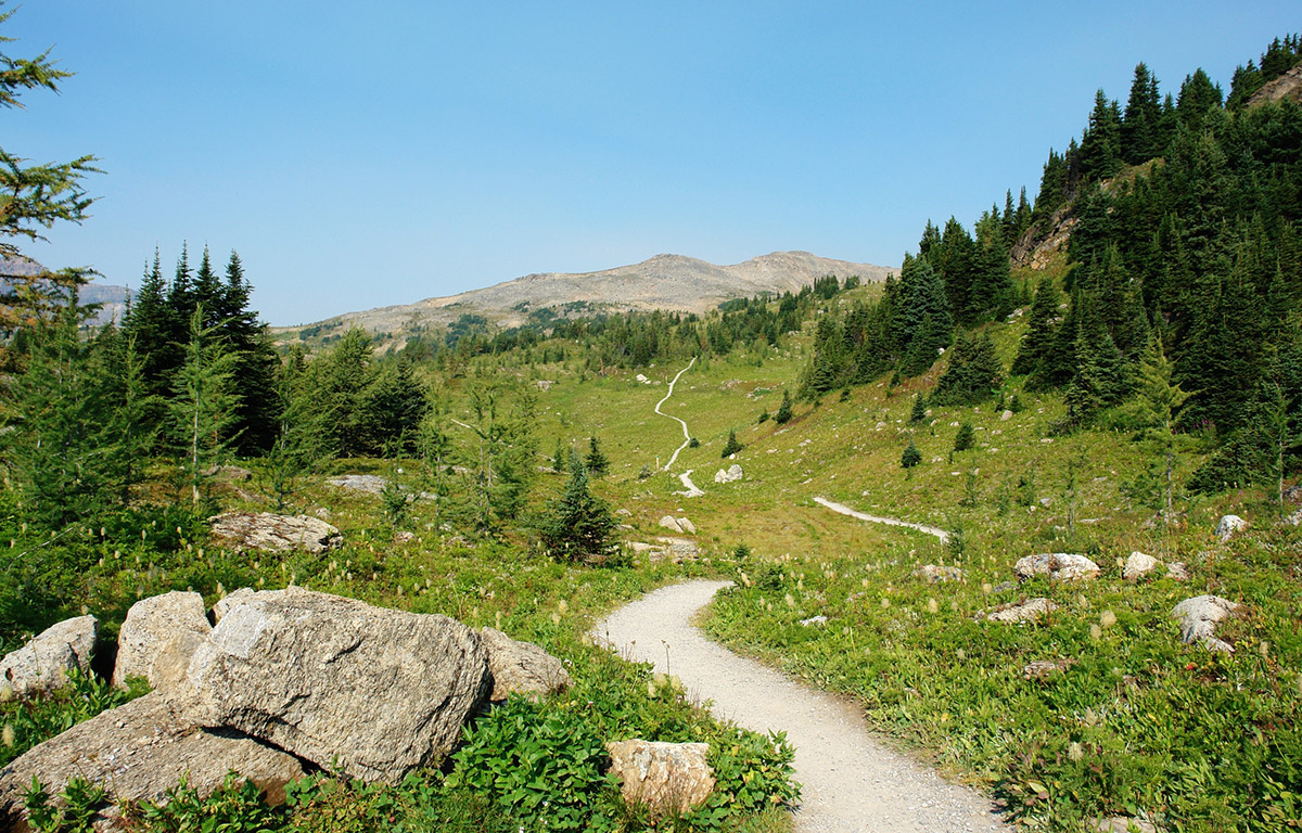 5 Best Hikes in Banff National Park Moon Travel Guides