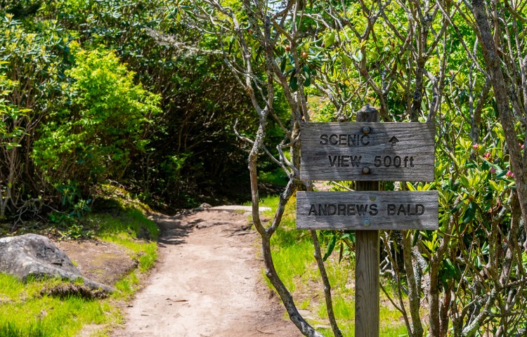 dirt path with a wooden sign that says "scenic view"