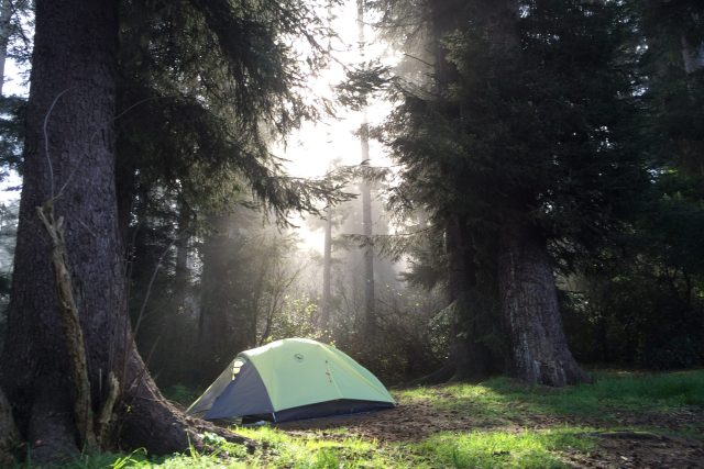 camping at patricks point