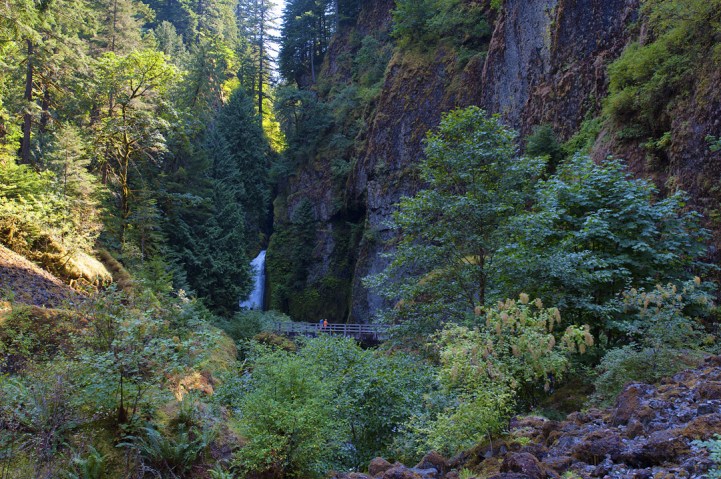 View of cascade locks surrounded by trees and a waterfall