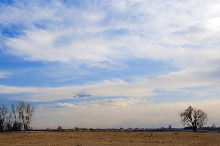Colorado prairie
