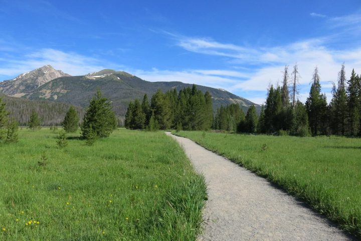 flat path with grass on either side leading to trees and mountains