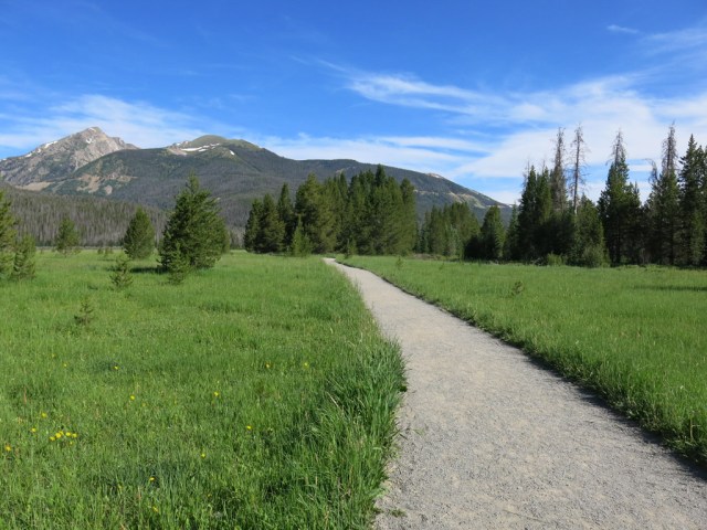 flat path with grass on either side leading to trees and mountains