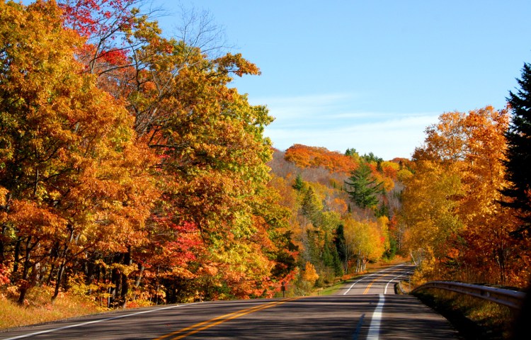 fall foliage lining the highway in Michigan