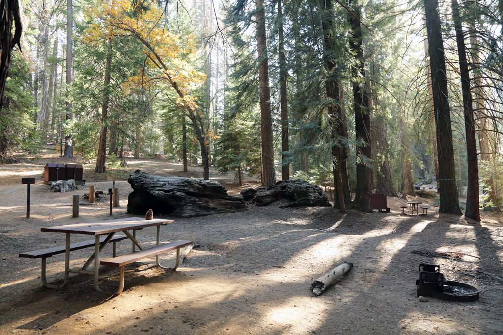 Camping in and Around Sequoia and Kings Canyon Moon Travel Guides