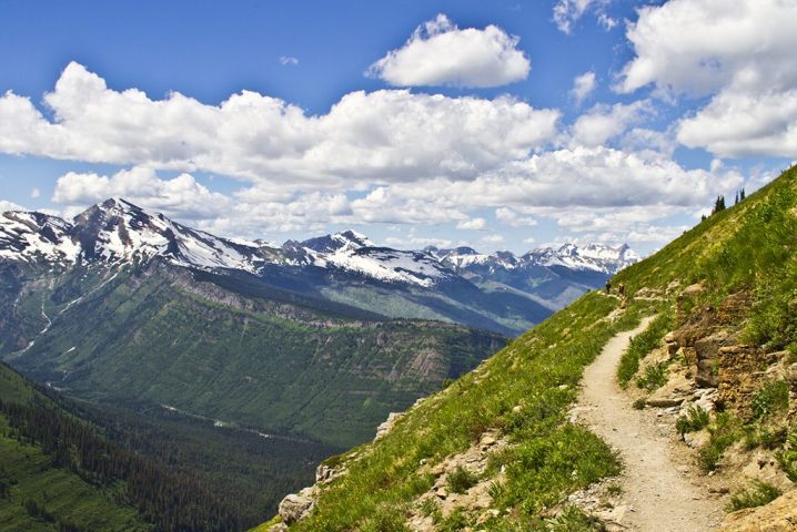 blue skies over a hiking trail on the side of a mountain in glacier national park