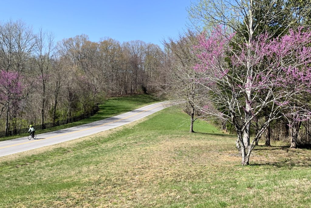 biking rhe Natchez Trace Parkway in spring