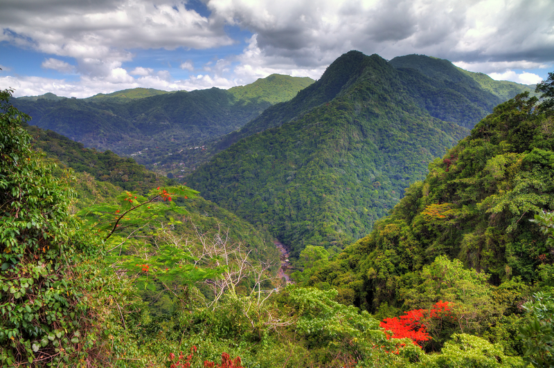 Panoramic view of lush green rainforest and mountains.